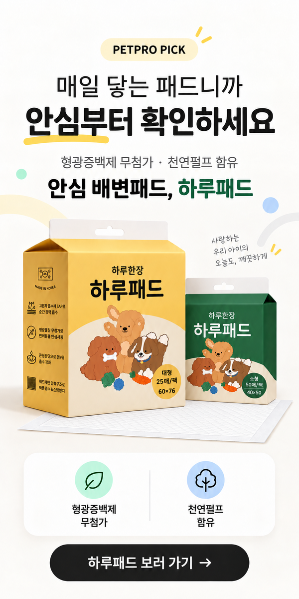 파파펫코리아 하루패드